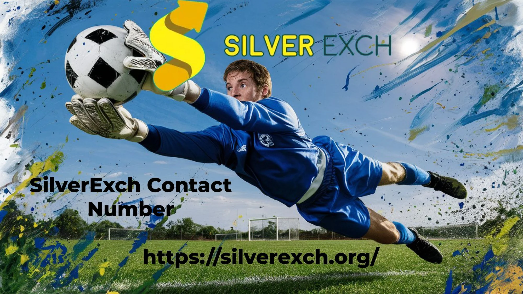 silver exchange Id